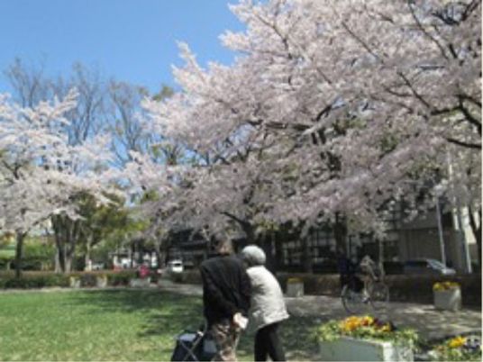 桜並木と散策する人々