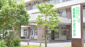 緑豊かな玄関