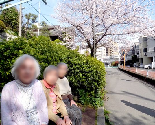 満開の桜の道