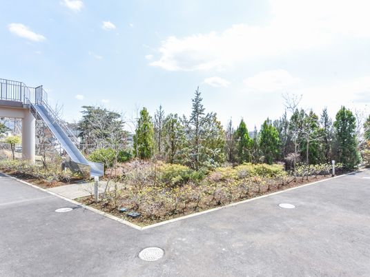 緑豊かな庭の景色