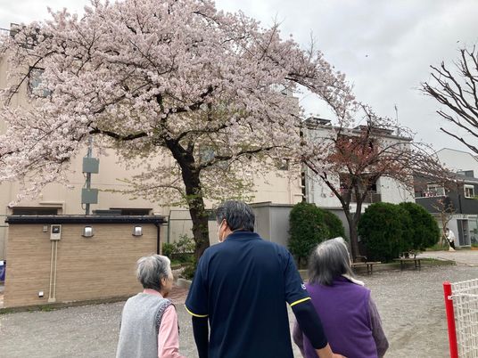 桜並木と散策する人々