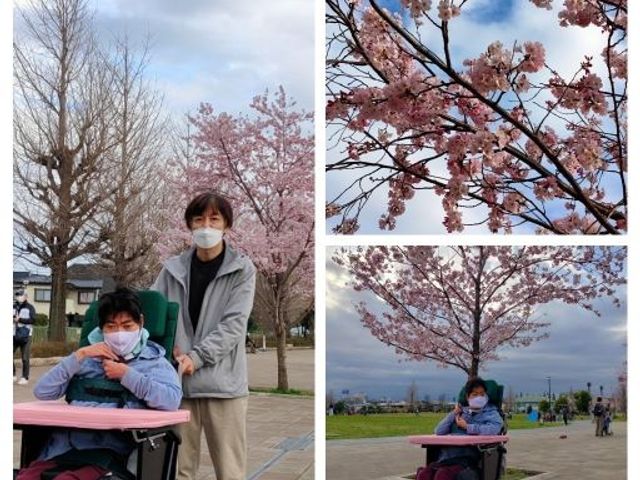 桜と共に笑顔の様子 穏やかな春の日、中庭で桜を眺めながら利用者と共に過ごすひととき。自然がもたらす豊かな癒しを感じられる環境です。