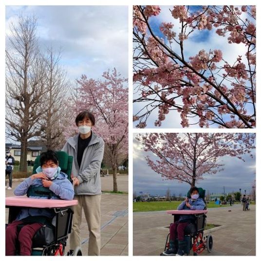 桜と共に笑顔の様子