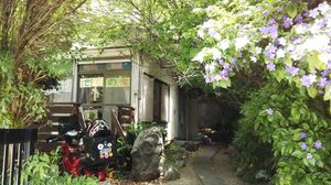 緑に囲まれた外観