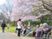 桜並木と利用者