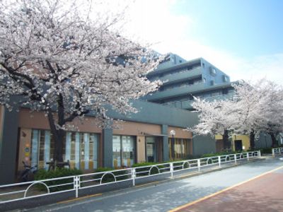 桜が咲く外観