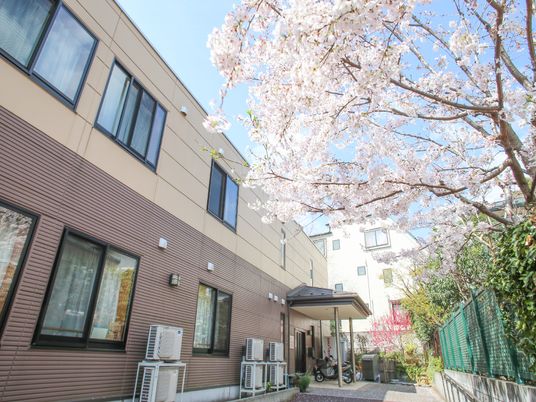 桜と共に春の外観