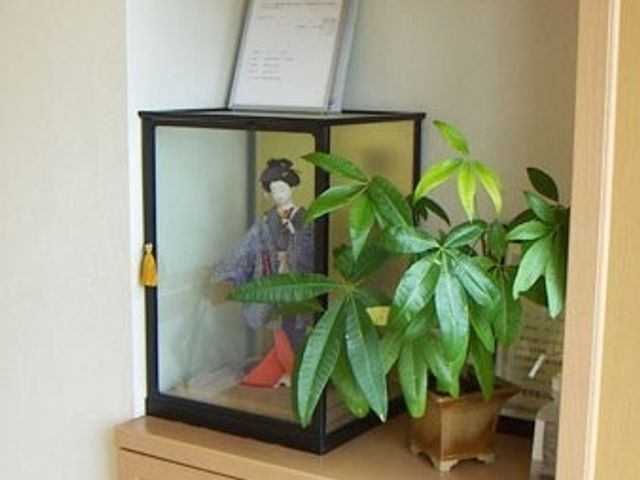 観葉植物と人形の装飾 玄関 落ち着いた色合いの家具に飾られた人形と緑が、温もりある迎えの空間を演出しています。