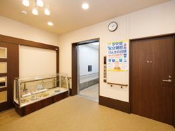 明るい廊下と掲示物