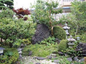 緑豊かな庭  