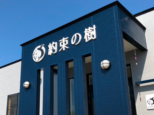 約束の樹の外観  