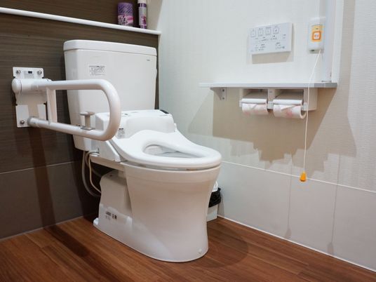 清潔感のあるトイレである。便器の左側には金属製でしっかりとした手すりが設置されており、安心して体を預けることができる。