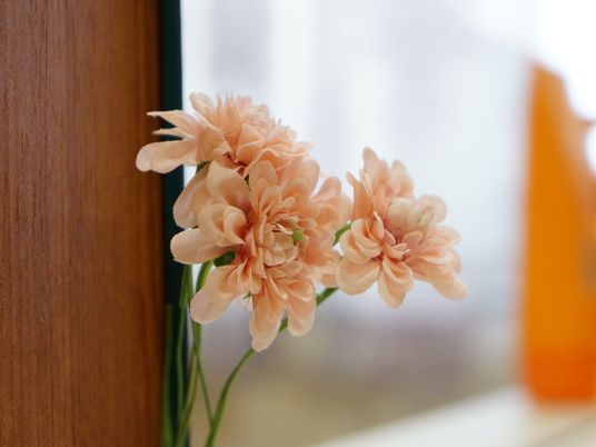 食堂には、花瓶に綺麗な造花が飾られている。窓からは明るい光が差し込んでおり、ベージュ色の棚も置かれている。