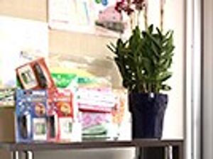 観葉植物と日用品の棚