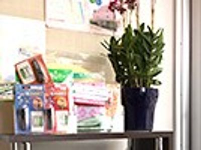 観葉植物と日用品の棚