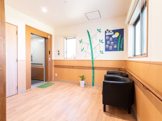 廊下に植物と椅子