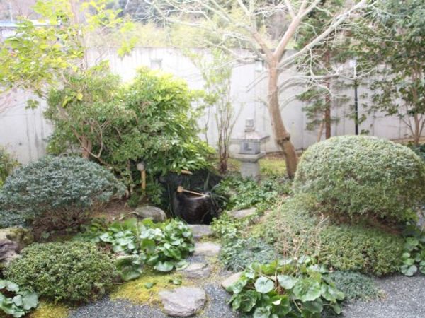 和風な静かな庭