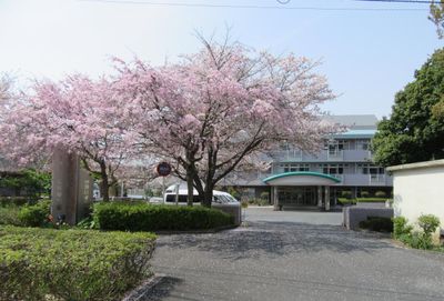 桜のある施設前景