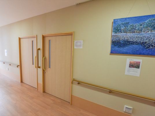 廊下の一角には、絵画を飾っている。壁には、手すりが続き、ドアとドアの間には縦向きの取っ手が設置してある。