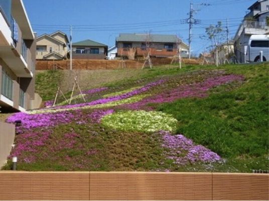 彩り豊かな斜面庭園