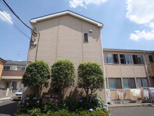 外観の建物と緑