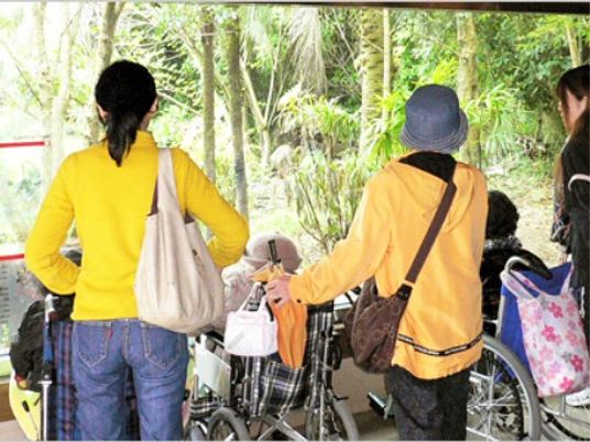 散歩する人たちの背中