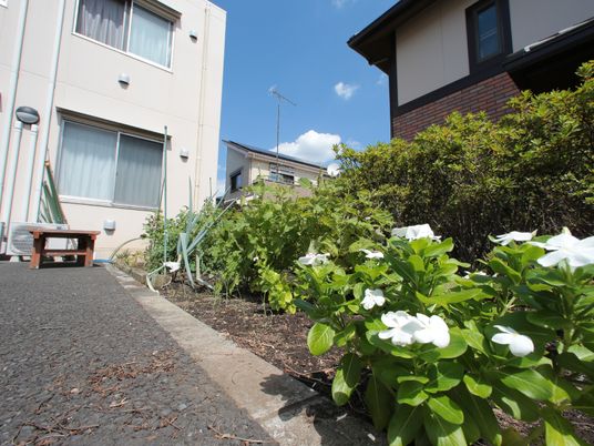 中庭の植物と椅子