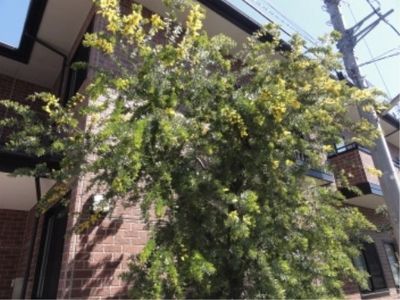 緑溢れる働き場所外観