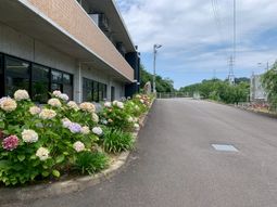 花に囲まれた外観