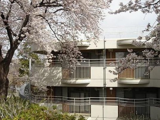 桜に囲まれた外観  