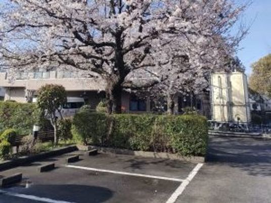 桜のある施設外観  