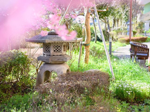 手入れの行き届いた庭 庭 四季折々の花々が彩る美しい庭です。静かに散策しながら、リラックスした時間を過ごせます。