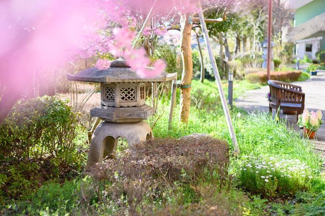手入れの行き届いた庭 庭 四季折々の花々が彩る美しい庭です。静かに散策しながら、リラックスした時間を過ごせます。