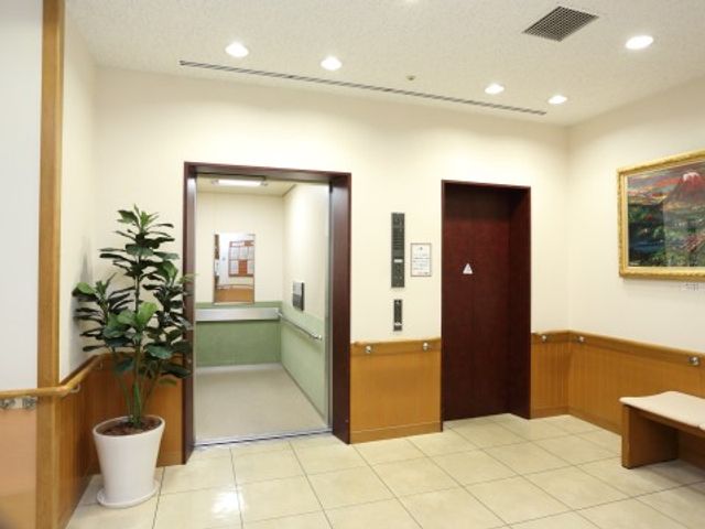 清潔な廊下の一角 内観 清潔感ある廊下は待合のベンチも備えており、植物の緑が穏やかな雰囲気を醸しています。利用者様の心地よい移動が支援される設計がされています。