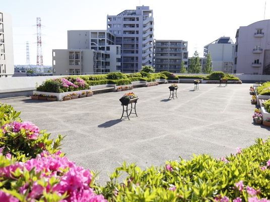 中庭の花と植物