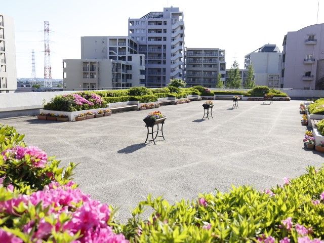 中庭の花と植物 屋上庭園 広々とした中庭は花々で彩られ、散策や憩いの場として利用されています。周囲の建物に囲まれた空間が、穏やかな時間を提供します。