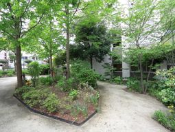 緑豊かな中庭の景色