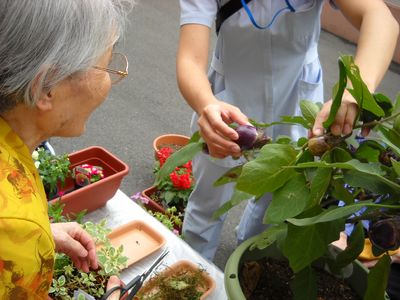 園芸活動をする高齢者と職員