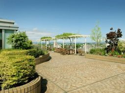 中庭の明るい雰囲気