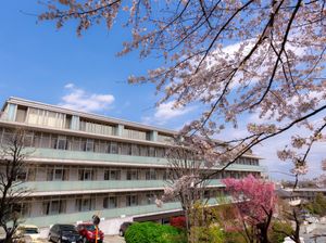 桜と施設の外観