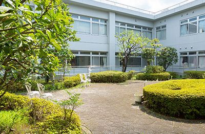 緑豊かな中庭