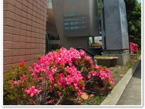 花壇のある外観  