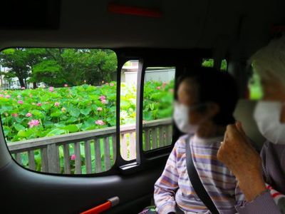 自然を見る窓辺