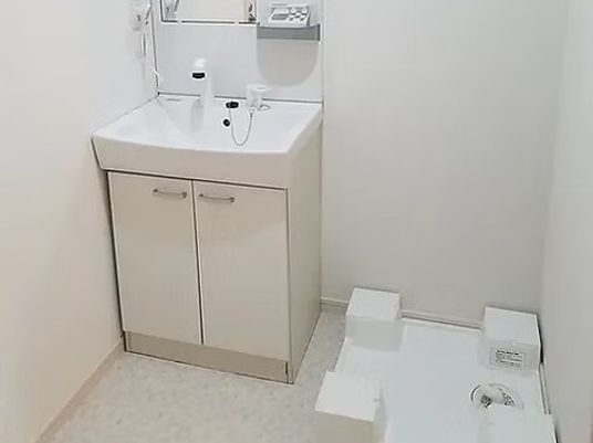 洗面台と洗濯機置き場のある洗面台  