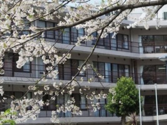 桜と建物外観  