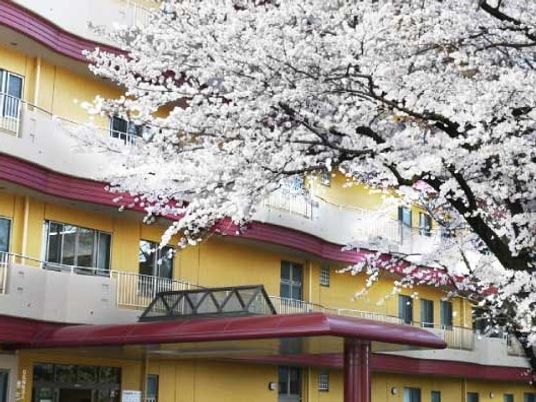 桜と建物の外観  