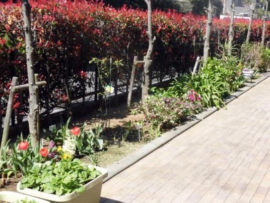 緑豊かな施設の中庭