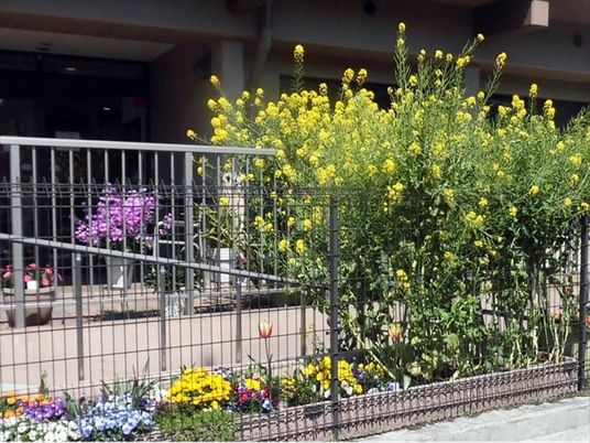 彩り豊かな施設の庭