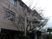 桜のある建物外観  