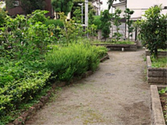 緑豊かな庭の風景